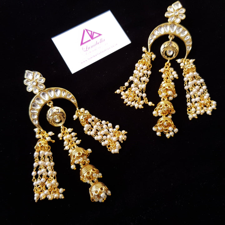 Tassle Style Designer Earrings